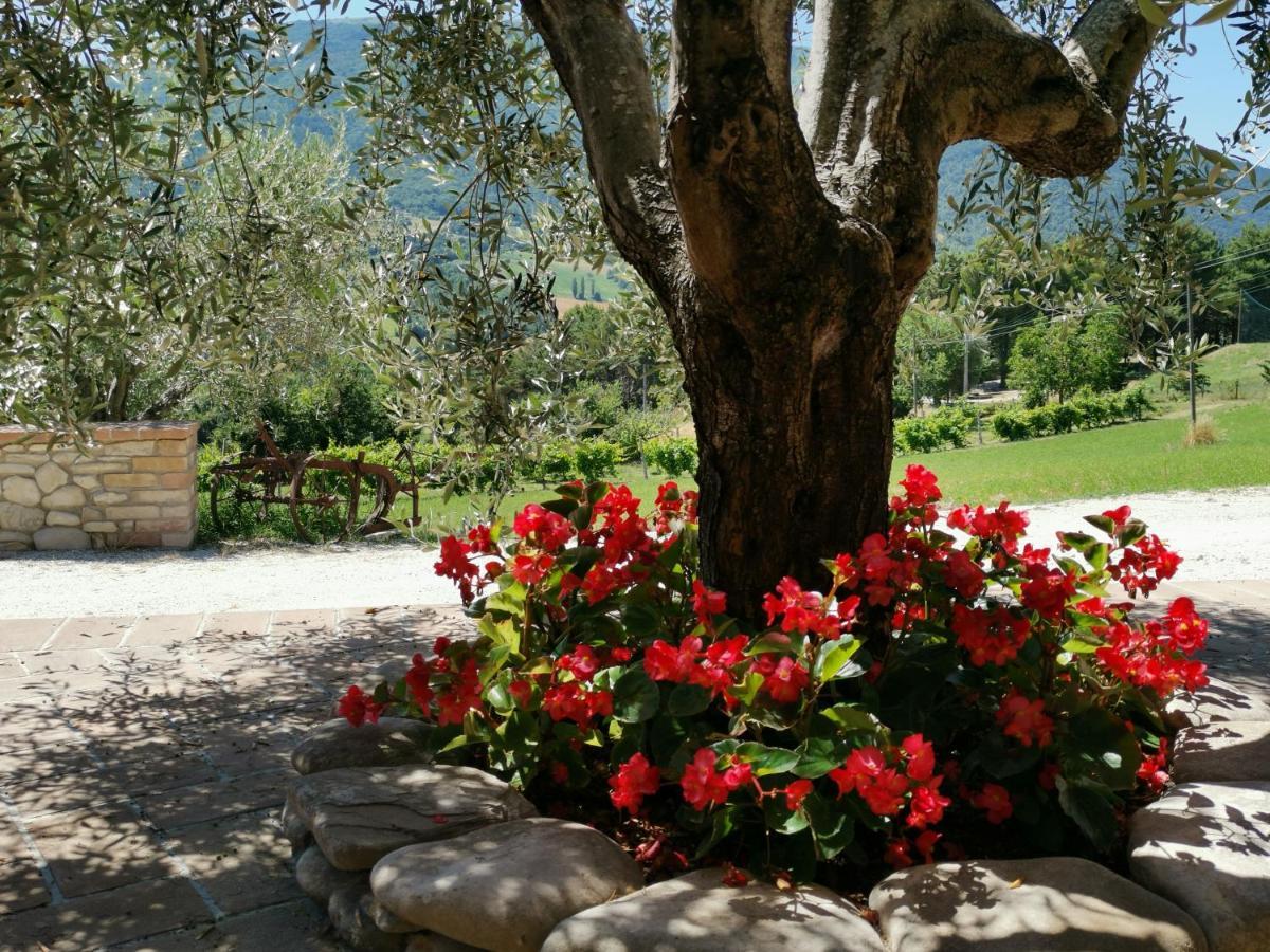 Agriturismo Sole Luna Piano Delle Pieve Zewnętrze zdjęcie