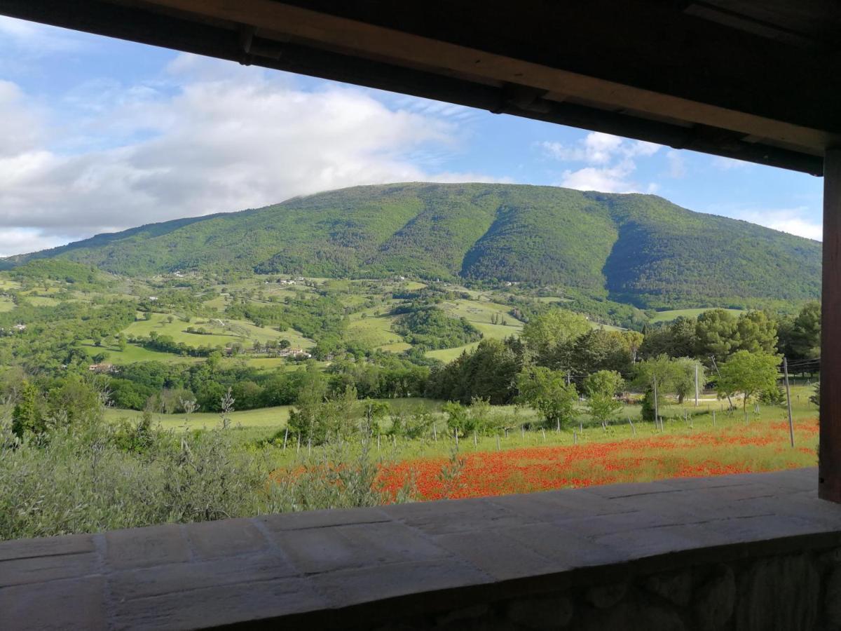 Agriturismo Sole Luna Piano Delle Pieve Zewnętrze zdjęcie